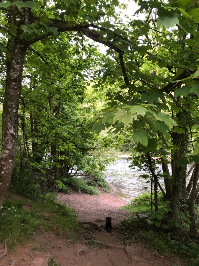 Symonds Yat - Herefordshire Property With Stunning Views ภายนอก รูปภาพ